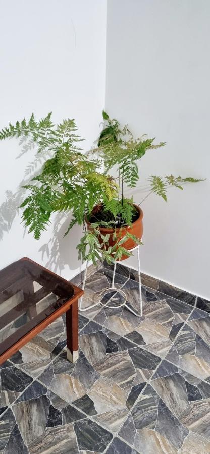 Apartment Apus *